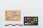 Etikett zu Bernsteinschieber (NHMW-PRAE-024561)